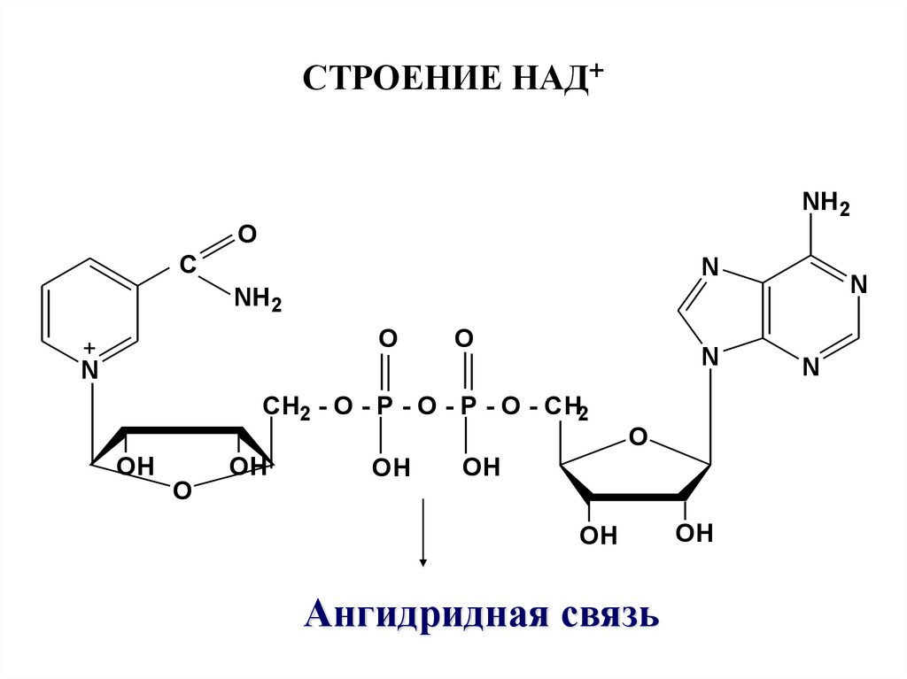 Окисление надф