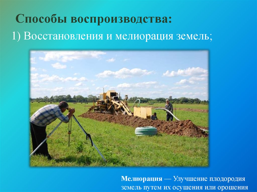 Восстановление природных ресурсов. Воспроизводство природных ресурсов. Проблема использования и воспроизводства. Проблемы воспроизводства природных ресурсов. Проблемы воспроизводства земельных ресурсов.