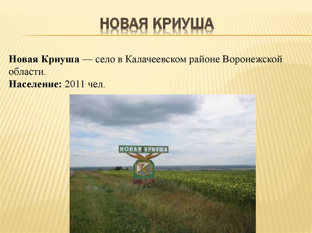 Погода п калачеевский воронежской. Новая Криуша Калачеевский Воронежская область.