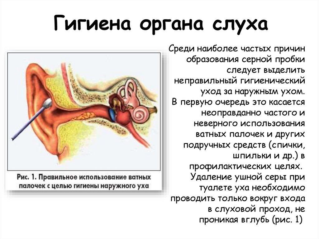 Больно чистить уши. Повреждение ушной перепонки ватной палочкой. Наружный слуховой проход серная пробка. Строение ушной раковины для чистки ушей.