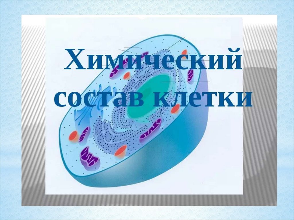 Урок клетка 10 класс. Химический состав клетки. Химический состав клетки 5 класс. Химический состав клетки презентация. Состав клетки биология.