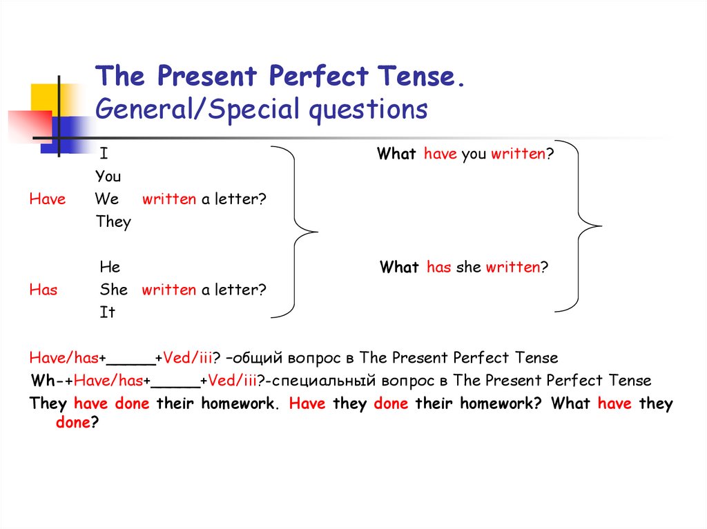 The Present Perfect Tense. General/Special questions