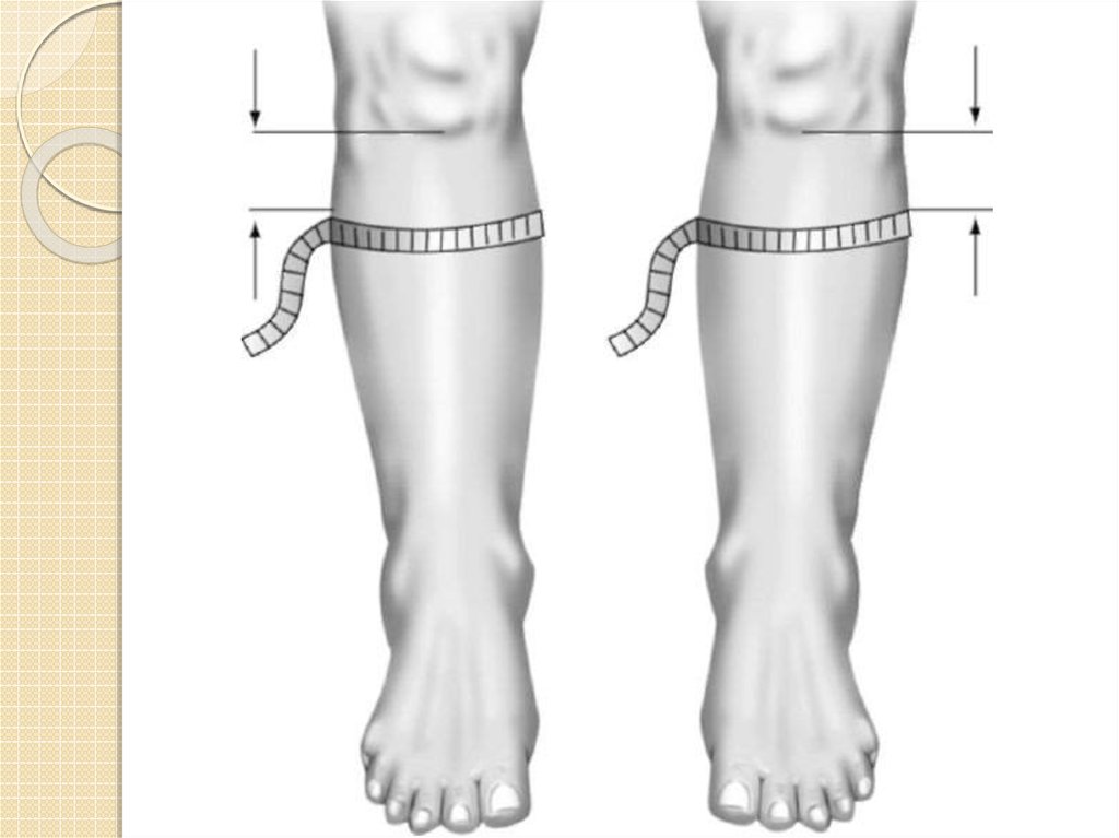 Обхват голени как измерить