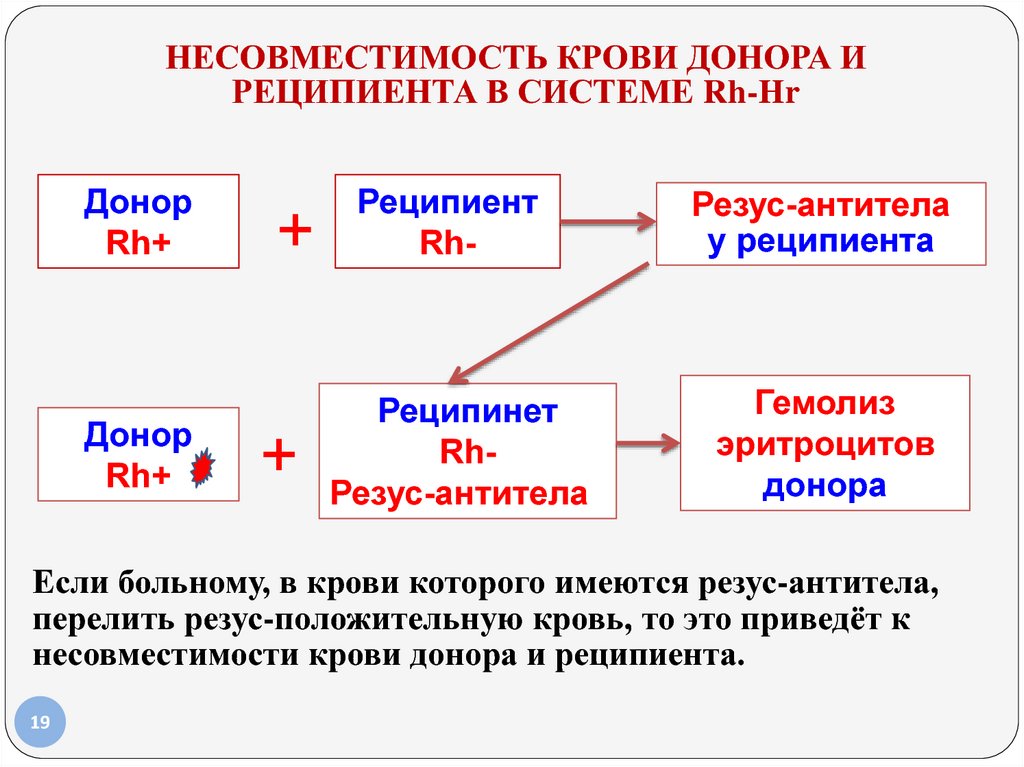 Схема переливания крови по группам и резус фактору