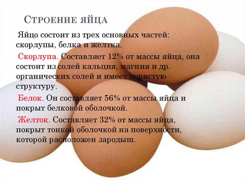 Основная функция яйца