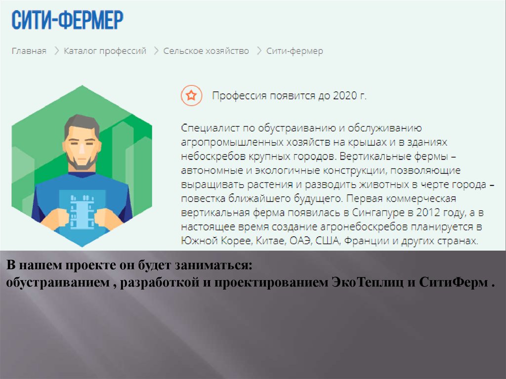 Сити фермер бизнес план