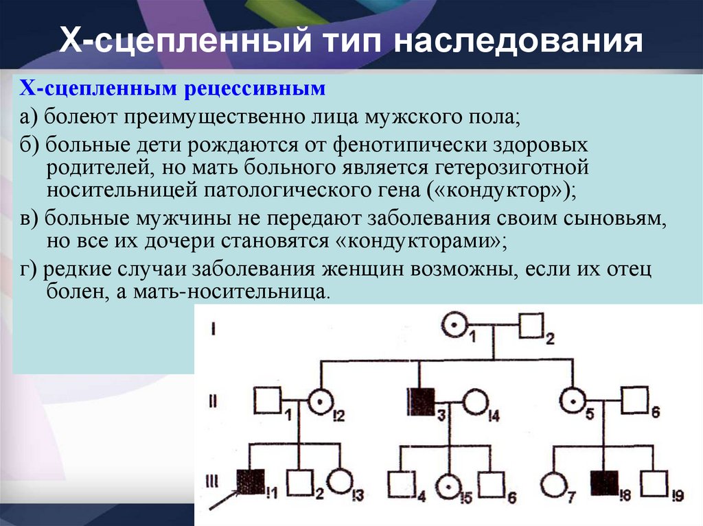 У сцепленные заболевания. Y сцепленный рецессивный Тип наследования. X сцепленный Тип наследования. Y-сцепленный Тип наследования болезни. Характеристика х сцепленного рецессивного типа наследования.