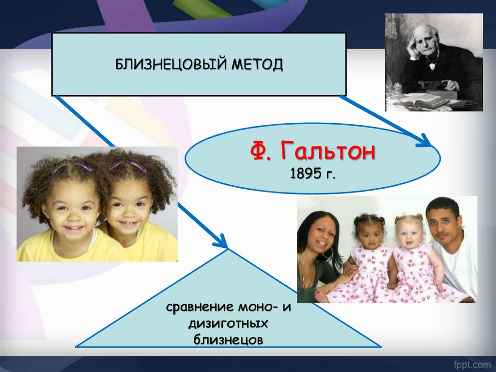 Презентация на тему близнецовый метод