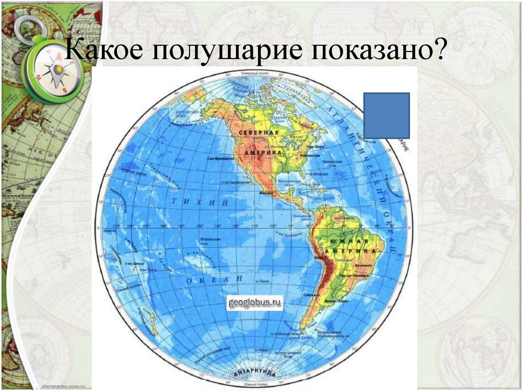 На каком материке серый волк восточного полушария. Западное полушарие на карте. Карта полушарий. Западное и Восточное полушарие. Физическая карта Западного полушария.