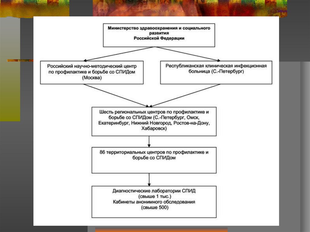 Служба профилактики. Структура центра борьбы со СПИДОМ. СПИД центр организационная структура. Структура подразделения центра СПИД. Центр по профилактике и борьбе со СПИДОМ структура.