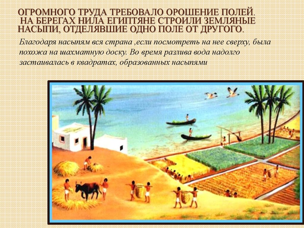 Огромного труда требовало орошение полей. На берегах Нила египтяне строили земляные насыпи, отделявшие одно поле от другого.