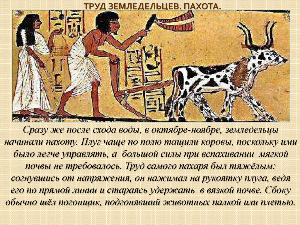 Расскажи историю 5. Один день из жизни земледельца в древнем Египте. Один день из жизни земледельца в древнем Египте 5 класс. День земледельца в Египте 5 класс. Рассказ о жизни земледельца в древнем Египте.