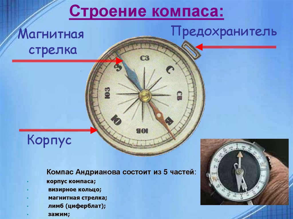 Обучение компас с нуля. Строение компаса Андрианова. Строение компаса. Составные части компаса. Компас и его составные части.