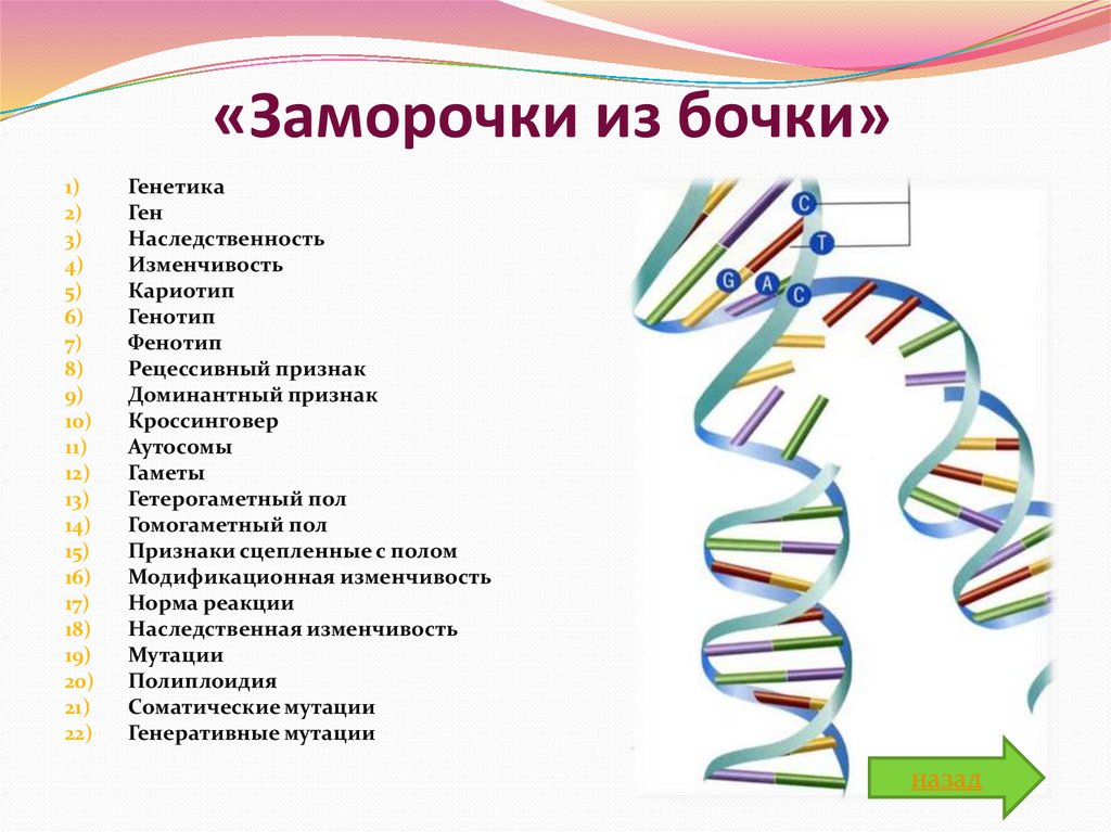 6 генетика человека. Основы генетики презентация. Основы наследственности генетика. Гены генетика. Генетика человека биология.