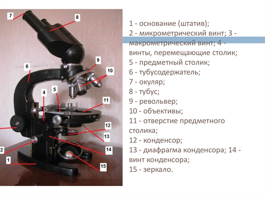 Для чего нужен предметный столик