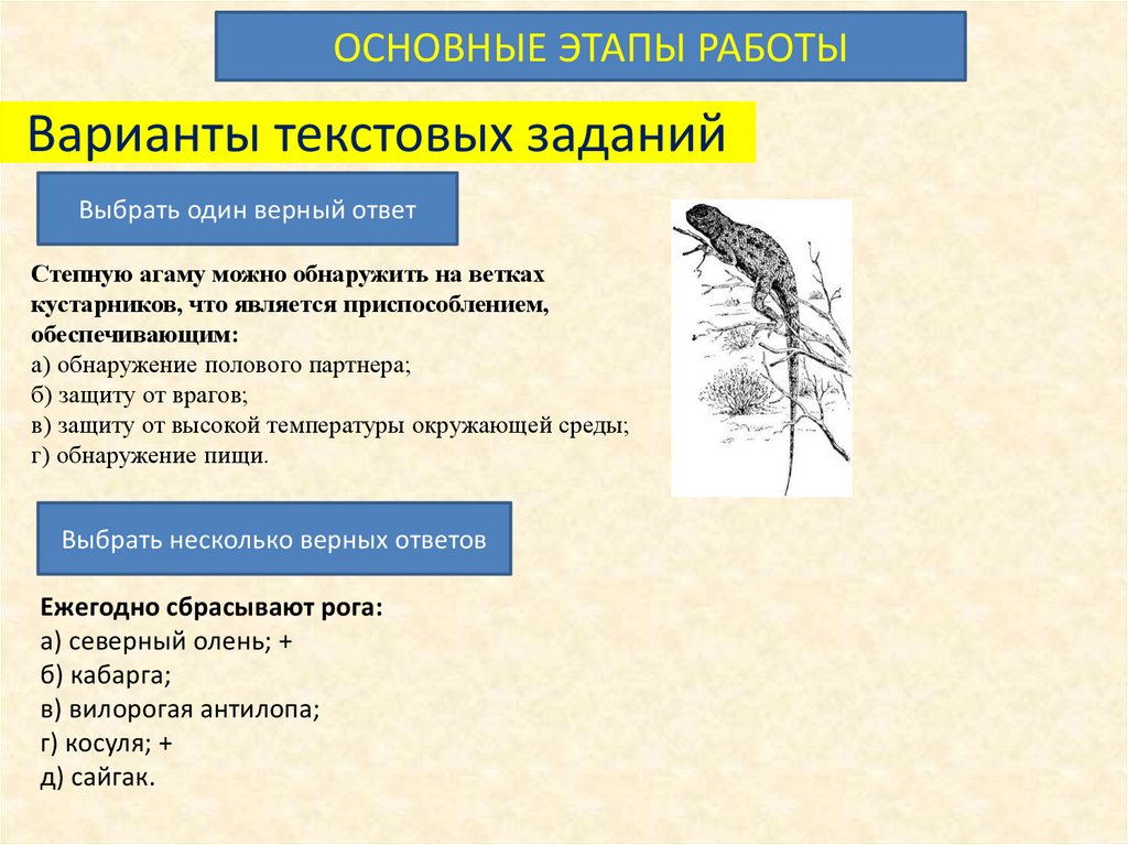 Текст задания верных ответов 1