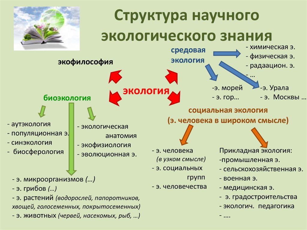 Какое значение имеют экологические знания