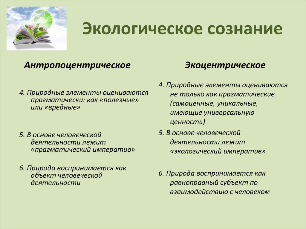 Проект экологическое сознание молодежи 9 класс по обществознанию