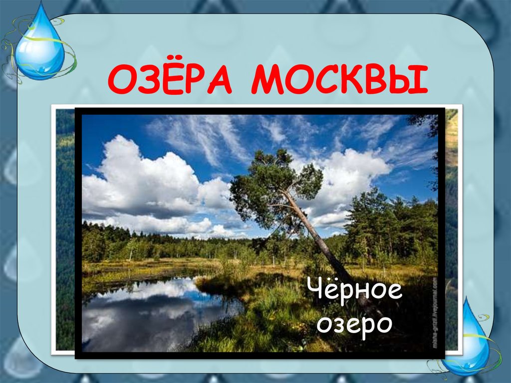 Водные богатства московской области окружающий мир