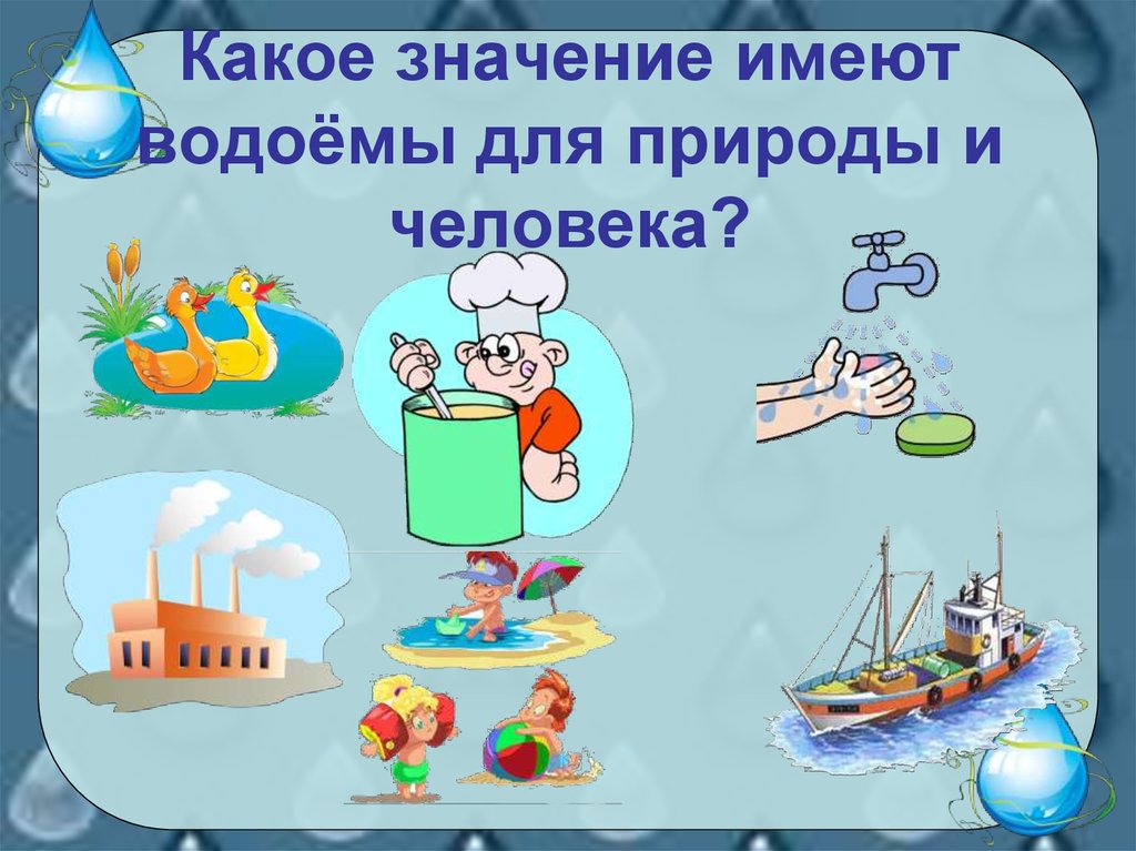 Значение водных богатств в природе и жизни человека схема