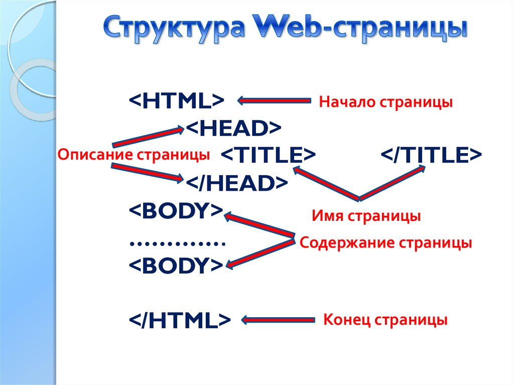 Структура веб страницы сайта