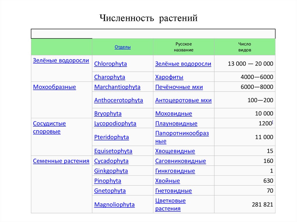 Сколько видов на земле