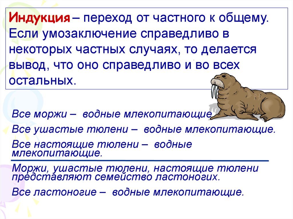 Слово индукция. Индукция от частного к общему. От общего к частному. Заключение от частного к общему. Индукция от общего к частному.