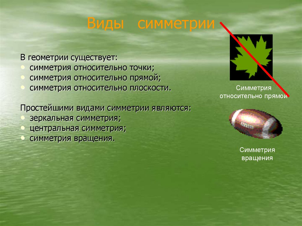 Виды симметрии