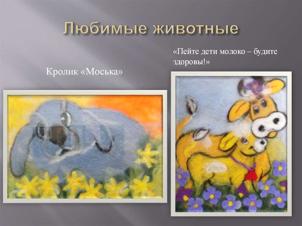 Любимые животные