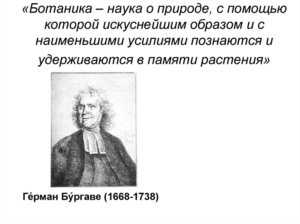 Что такое ботаника кратко. Ботаника это наука. Ботаника это наука изучающая. Науки в ботанике. Ботаника определение.