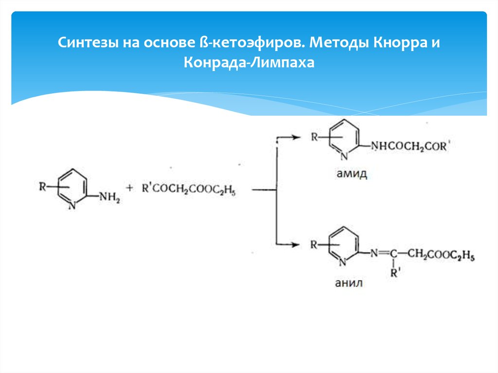 Синтезы на основе ß-кетоэфиров. Методы Кнорра и Конрада-Лимпаха