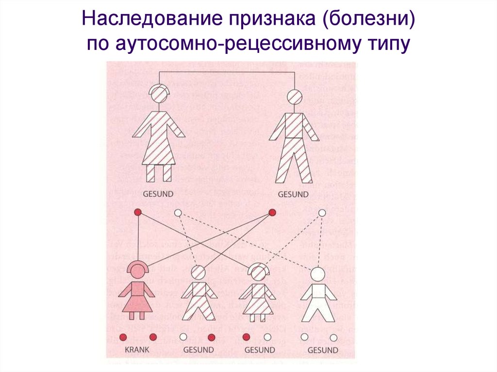 Рецессивное наследование это. Аутосомно-рецессивный Тип наследования. Схема наследования. Наследование по аутосомно-рецессивному типу. Схема наследования ЦМС.