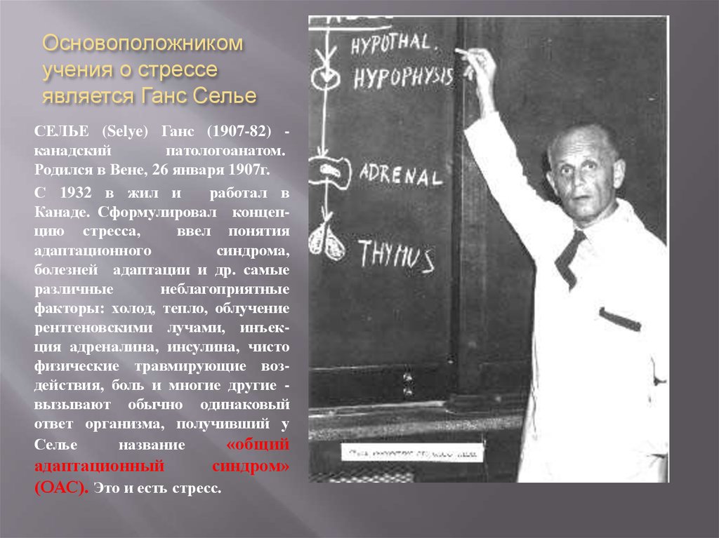 Основоположником учения. Селье (Selye) Ганс (1907-82) - канадский патолог. Основоположник учения о стрессе Ганс Селье (1907-1982). Селье (1907–1986). Ганс Селье концепция стресса.