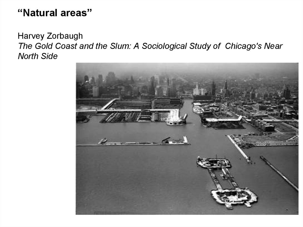 “Natural areas” Harvey Zorbaugh The Gold Coast and the Slum: A Sociological Study of Chicago's Near North Side