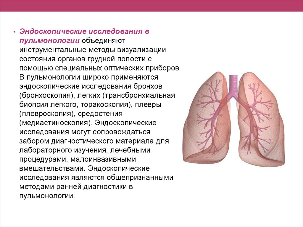 Эндоскопические методы исследования презентация