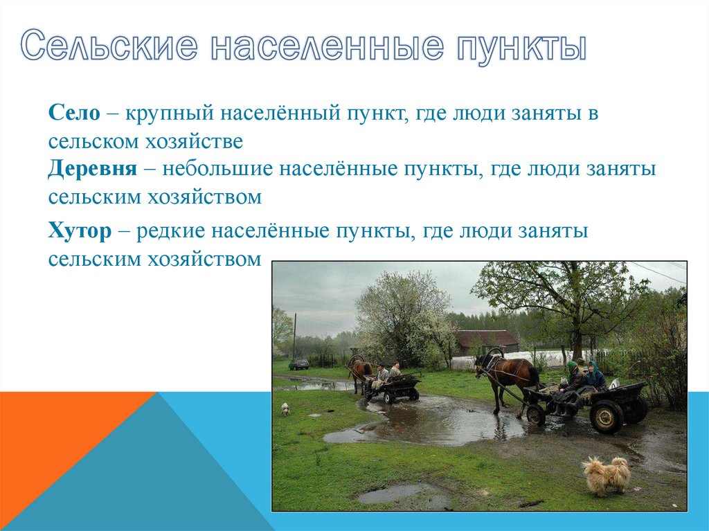 Сведения о населенных пунктах. Сообщение о населенном пункте. Населенные пункты для презентации. Презентации на тему населённый пункт. Хутор населенный пункт презентация.