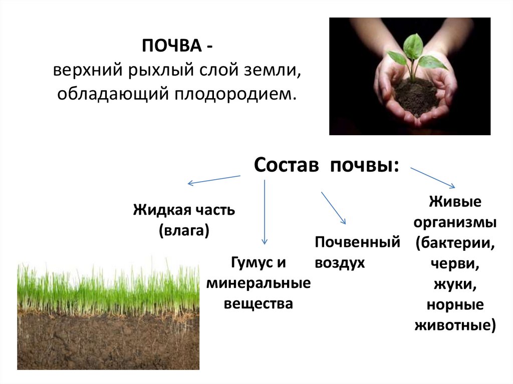 О каком свойстве почвы идет речь. Почва презентация. Исследование почвы. Сохранение плодородия почв. Свойства почвы.