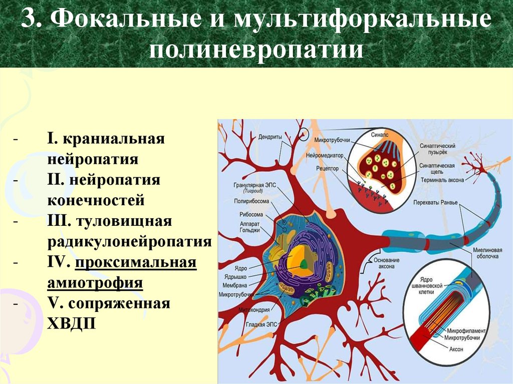 Аксональная полинейропатия нижних. Полинейропатии неврология. Синдром полиневропатии. Полиневриты и полинейропатии. Полиневропатии клиника.