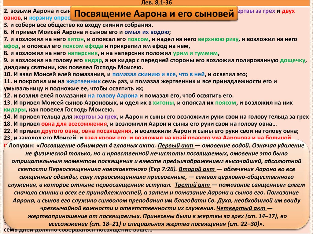 Книга левит 11 глава. Обязанности Левитов. Обязанности священника. Книга Левит. Жертва за грех Левит 4 глава.