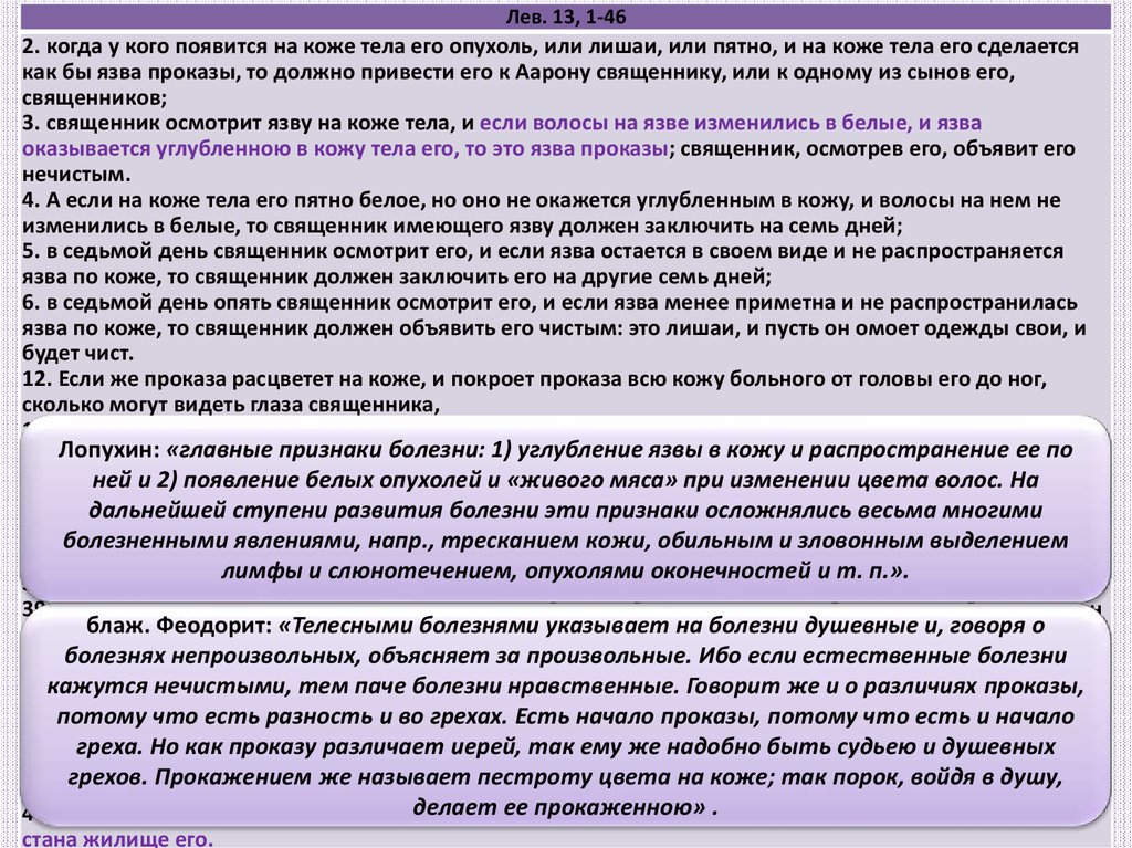 Книга левит 11 глава. Книга Левит толкование. Обязанности Левитов. Обязанности священника. Левит книга структура.