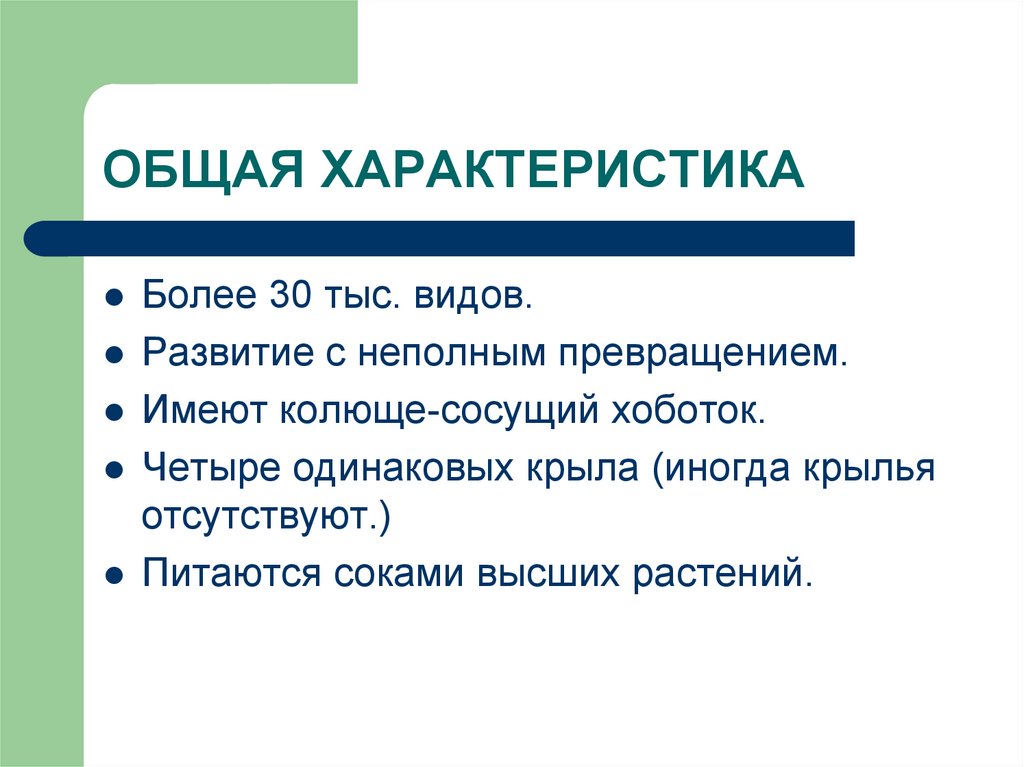 Более характеристики. Характеристика отряда Равнокрылые. Общая характеристика. Отряд Равнокрылые общая характеристика. Особенности равнокрылых.