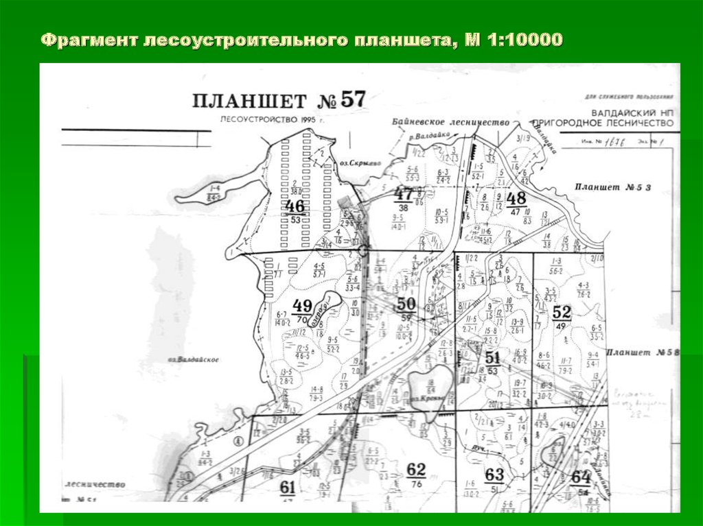 1 10000. Лесоустроительный планшет. План лесоустройства. Материалы лесоустройства планшеты. Условные обозначения на лесоустроительных планшетах.