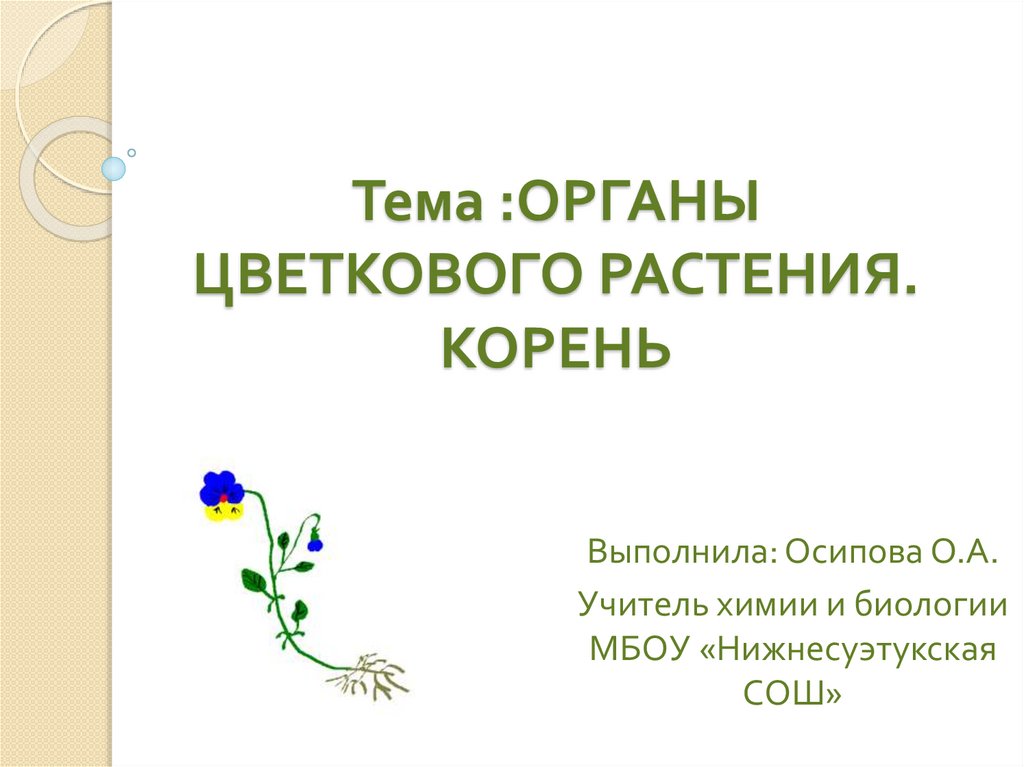 Организм цветкового растения презентация 3 класс гармония