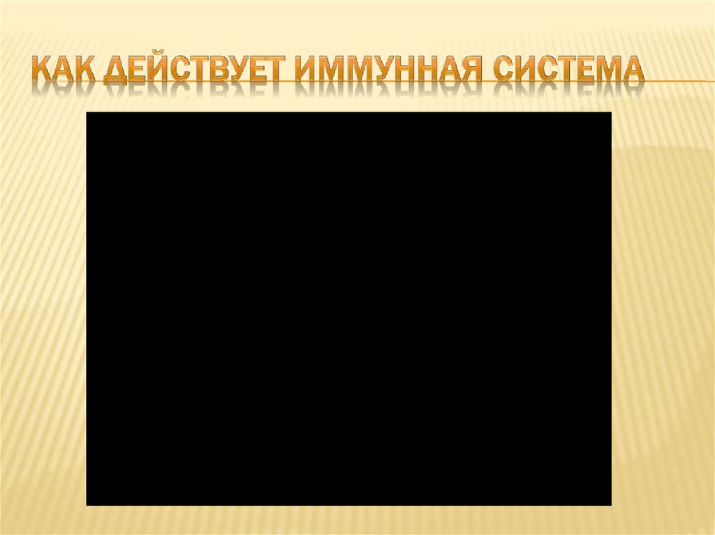 как действует иммунная система
