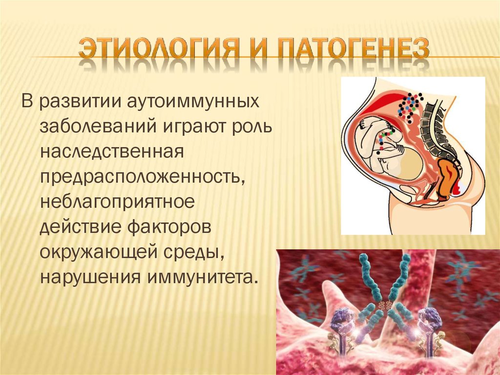 Аутоиммунные заболевания - презентация онлайн