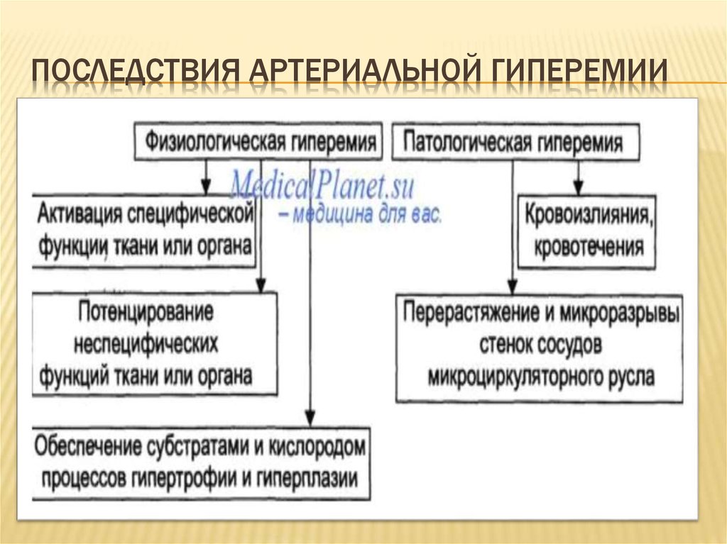 Нарисовать признаки артериальной гиперемии