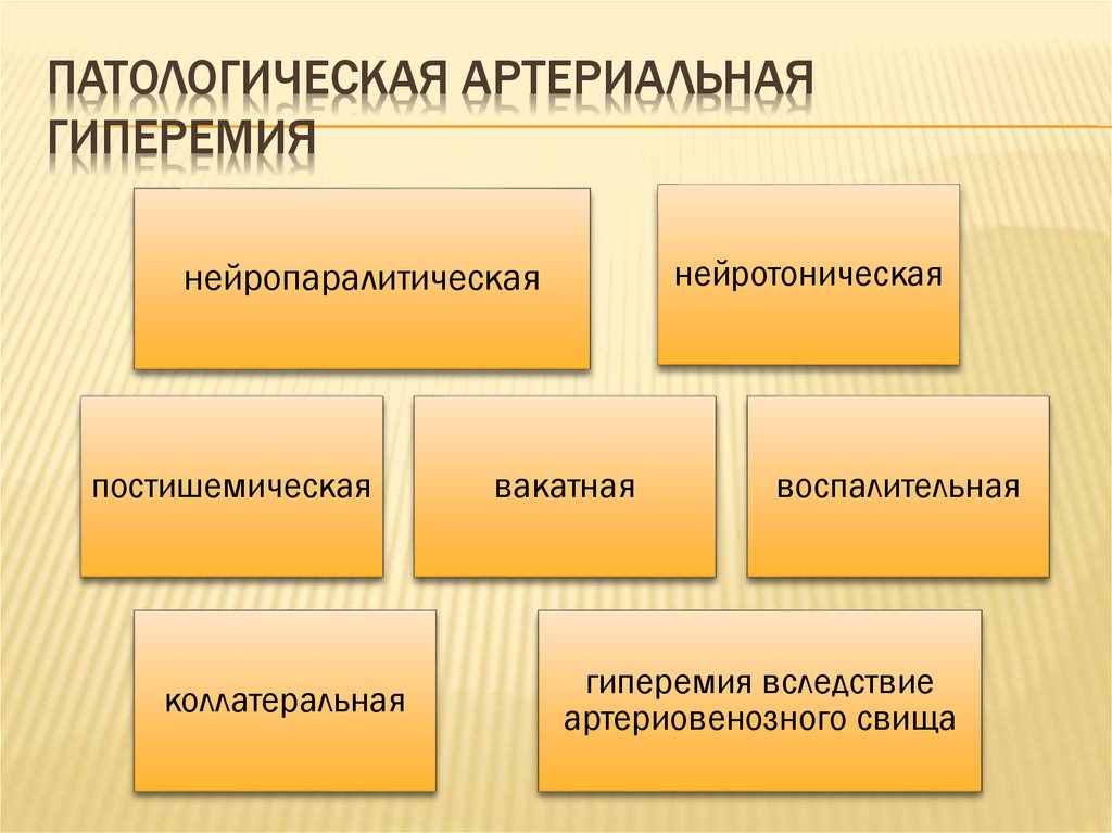 Нарисовать признаки артериальной гиперемии