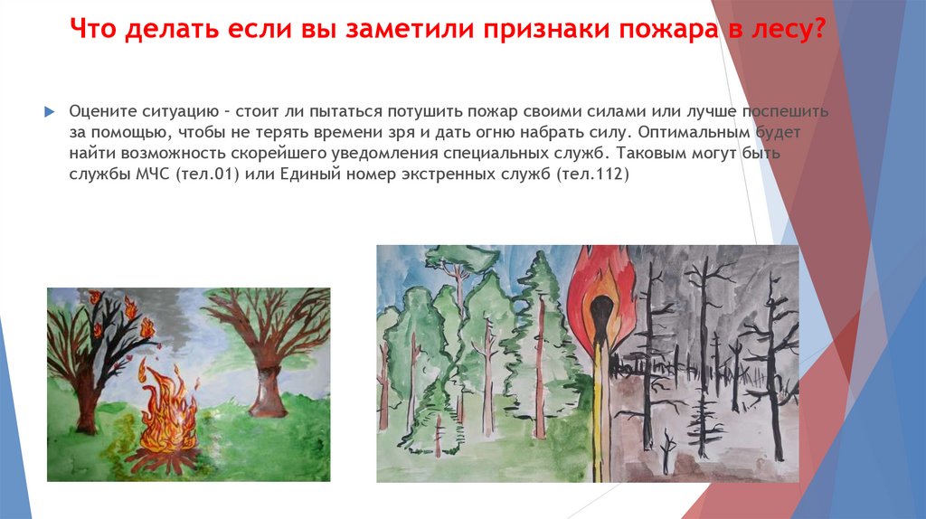 Что делать если вы заметили признаки пожара в лесу?