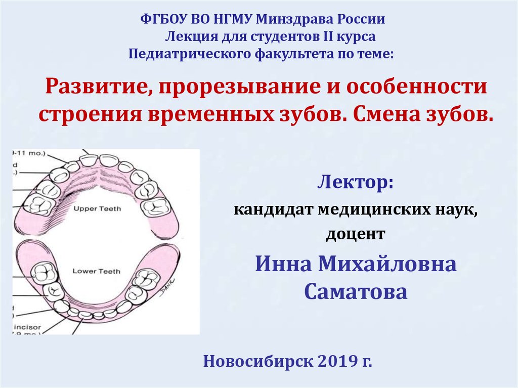 Прорезывание зубов карта вызова