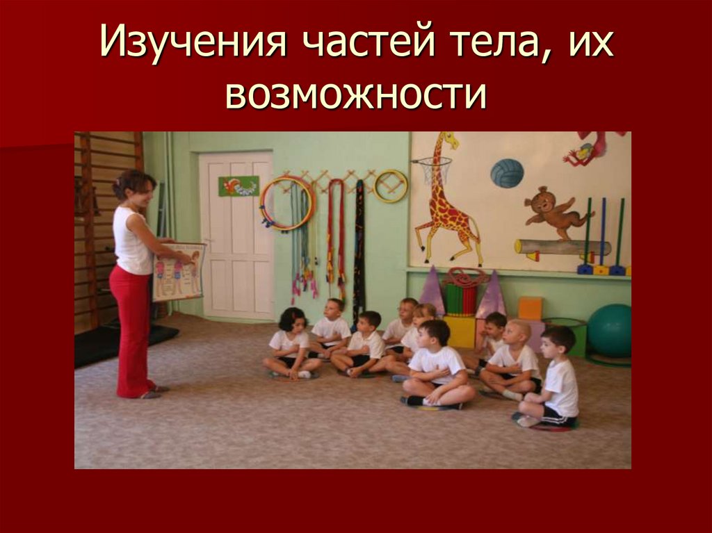 Изучения частей тела, их возможности